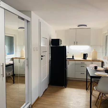 Goplanska Free Parking Self Check-in 24h Апартаменты Познань