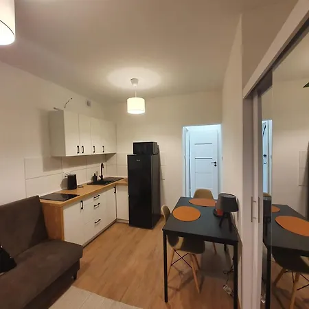 Appartement Goplanska Free Parking Self Check-in 24h Poznań