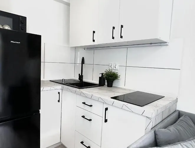 Goplanska Free Parking Self Check-in 24h Apartment Poznan