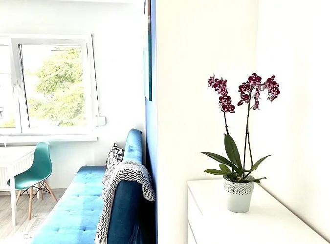 Apartment Goplanska Free Parking Self Check-in 24h Poznan