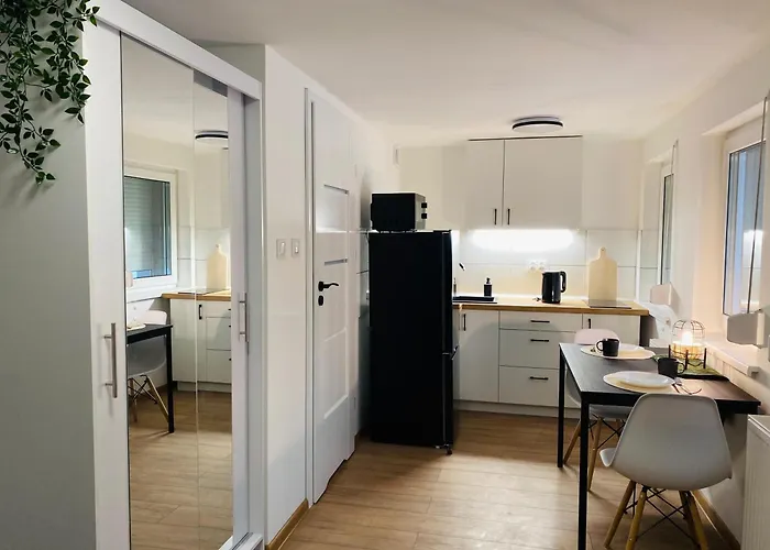 Goplanska Free Parking Self Check-in 24h Apartment Poznan