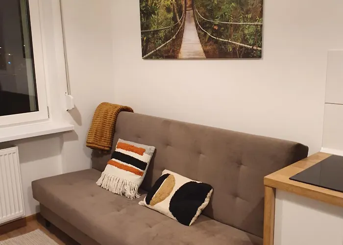 Goplanska Free Parking Self Check-in 24h Poznań