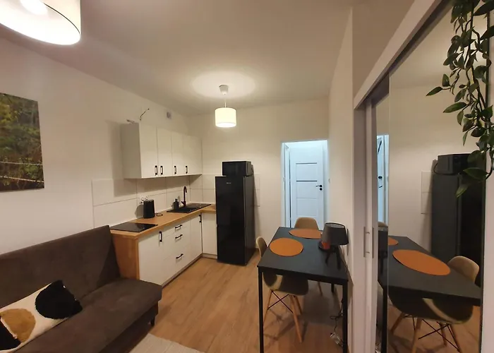 Apartment Goplanska Free Parking Self Check-in 24h Poznan