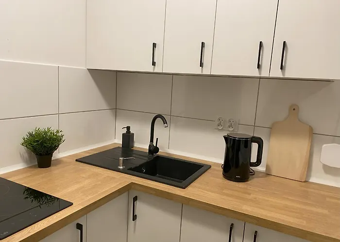 Goplanska Free Parking Self Check-in 24h Apartment Poznan